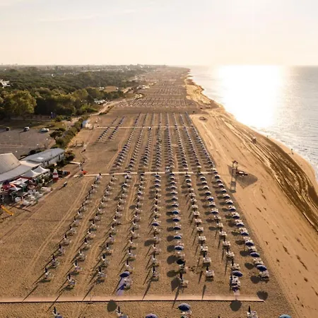 Peaceful Flat In 아파트 *